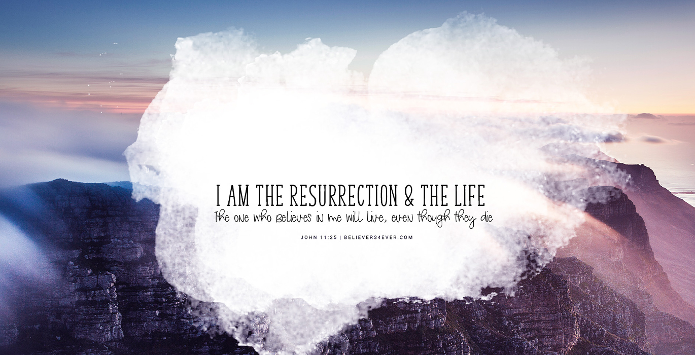 The Vybe Report Team